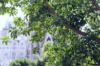 透过城市公园郁郁葱葱的树叶，可以瞥见哥特式建筑，自然与历史在此交融