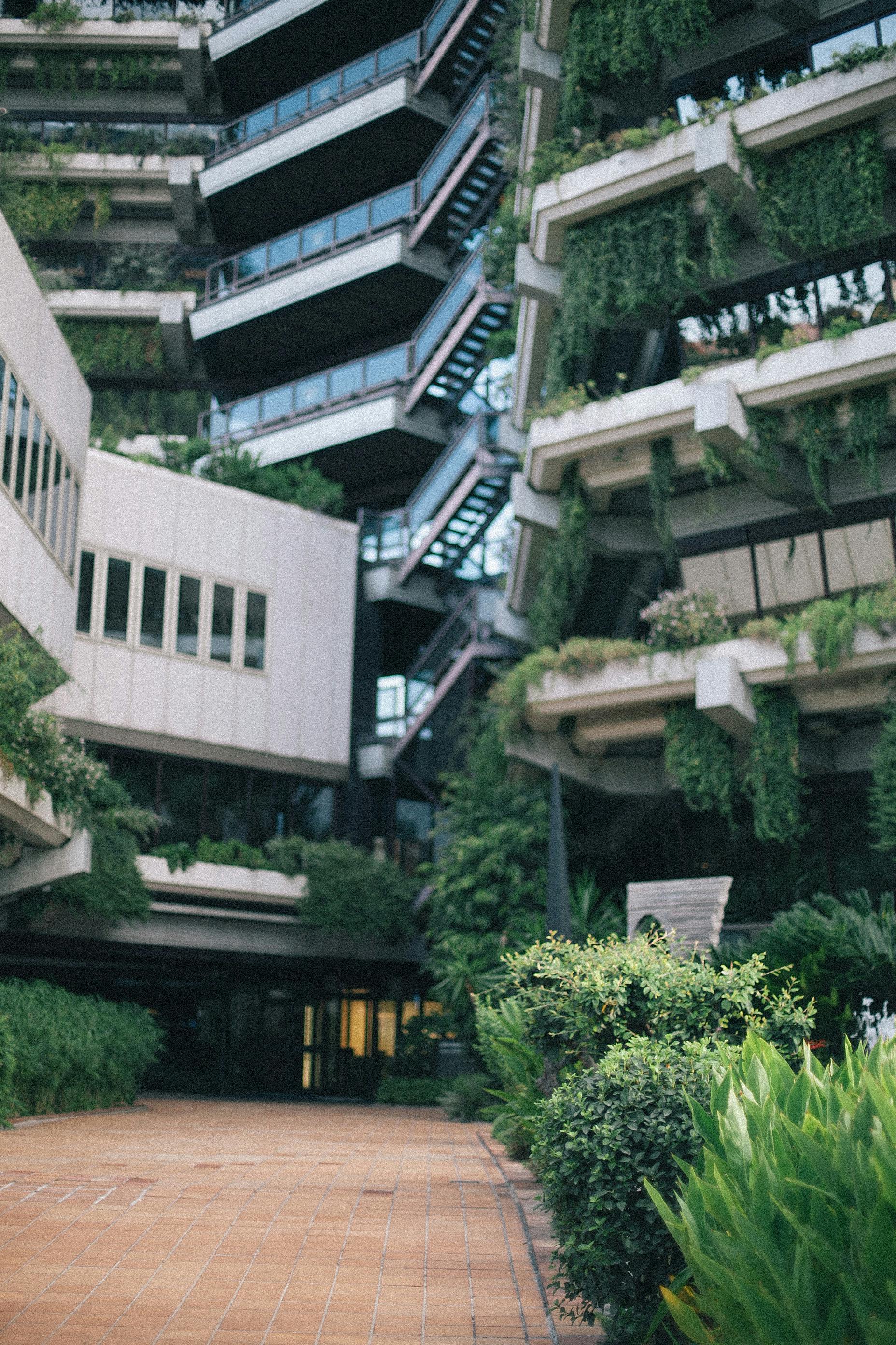 facade of modern building with green plants