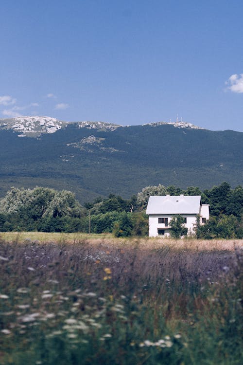 Small house located near grassy field and mountains