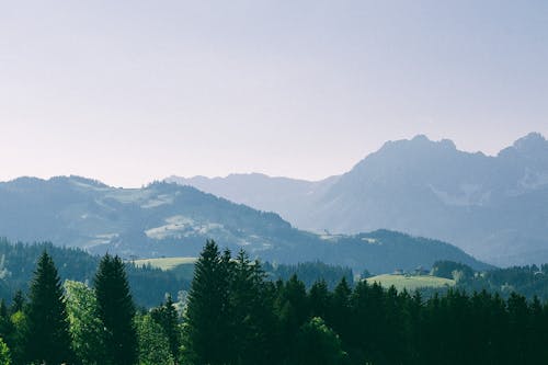 Breathtaking landscape with high hills with green woods and grass under blue cloudless sky in sunny summer day