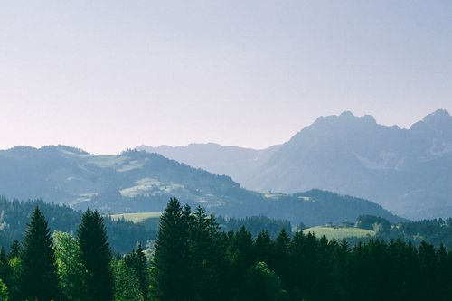 Free Breathtaking landscape with high hills with green woods and grass under blue cloudless sky in sunny summer day Stock Photo