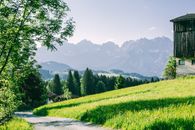 Green field with house and hills and trees