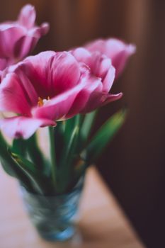 高角度特写：桌子上玻璃花瓶里盛开的粉红色花朵