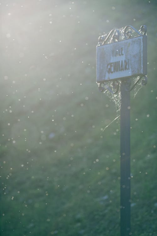 Metal rectangular sign with inscription and decorative elements with spider web on pole in sunlight against blurred background