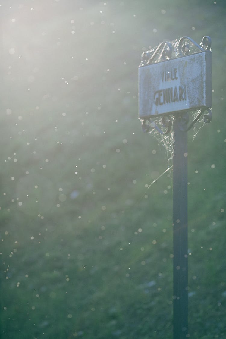 Metal Sign With Decorative Elements