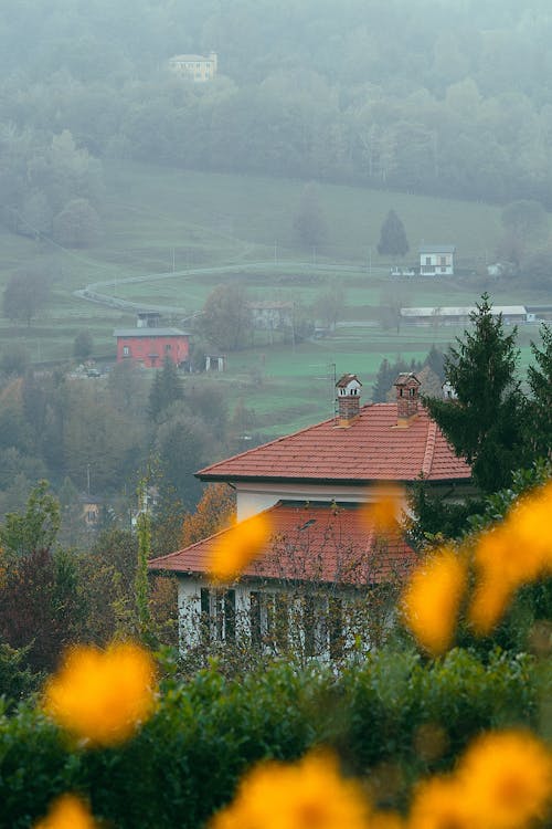 Modern cottage house among green trees