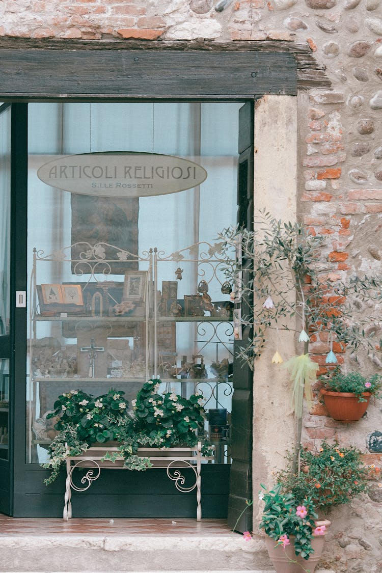 Shop Window Decorated With Plants