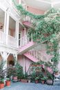 Potted plants in patio of apartment house