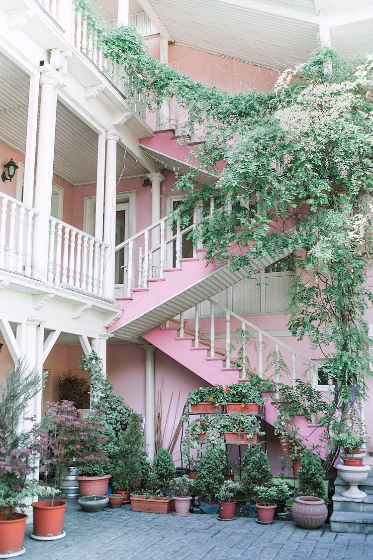 Potted Plants In Patio Of Apartment House