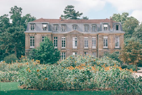 Exterior of classy stone mansion with high windows located in green garden with high trees and sunflower plants on cloudy day