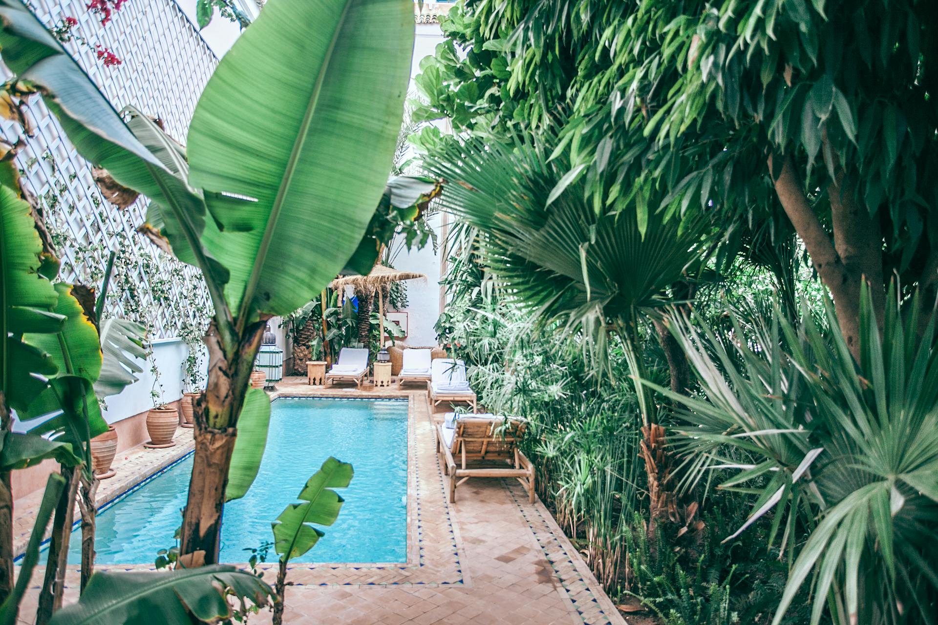 Green tropical plants with lush foliage growing around swimming pool at terrace of hotel