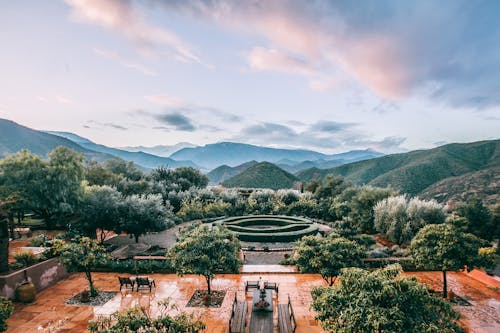 Terrace with green plants and bushes rounded by mountains