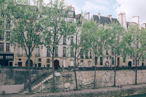 Narrow walkway with green trees between river and city street with old high buildings