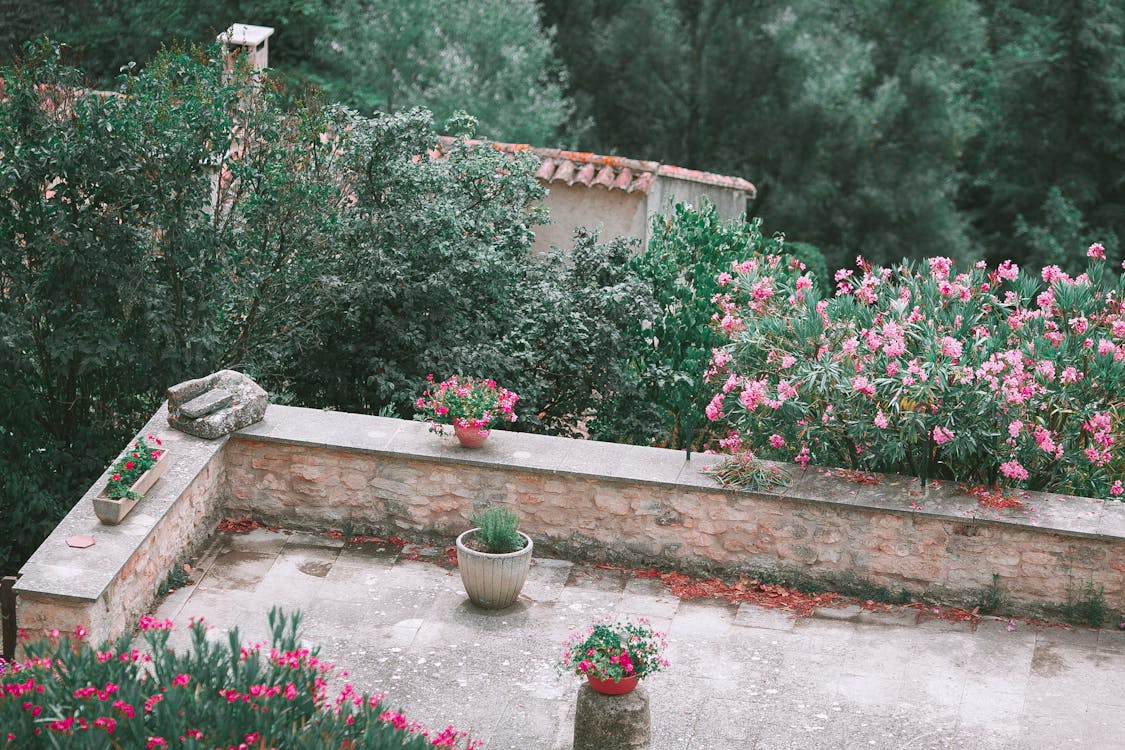 Free High angle of stone building with potted plants and blooming bushes growing in yard Stock Photo