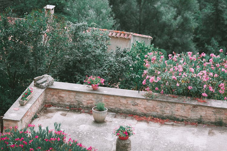 Potted Plants And Blooming Flowers Growing On Balcony Of Stone House