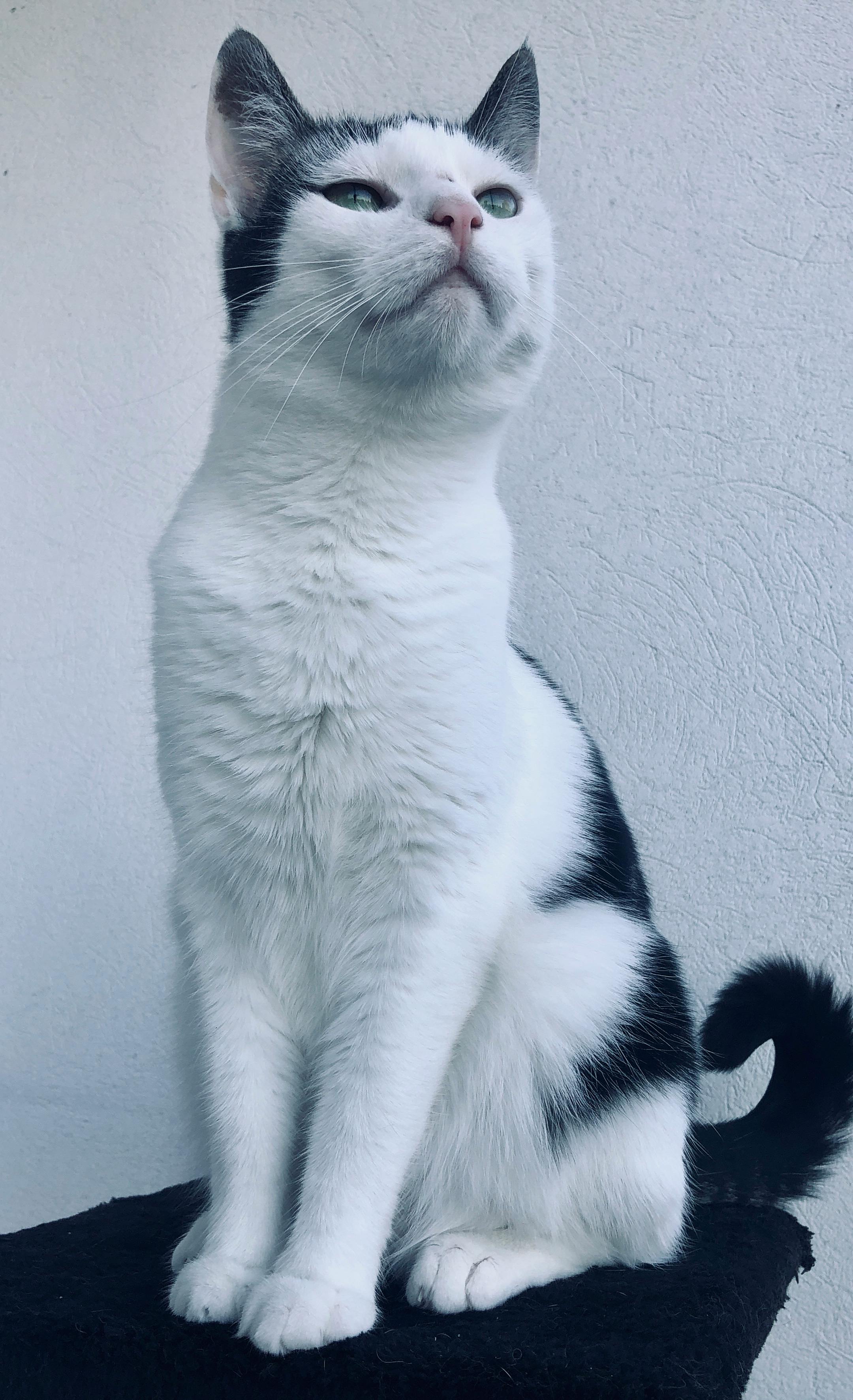 University of Warsaw