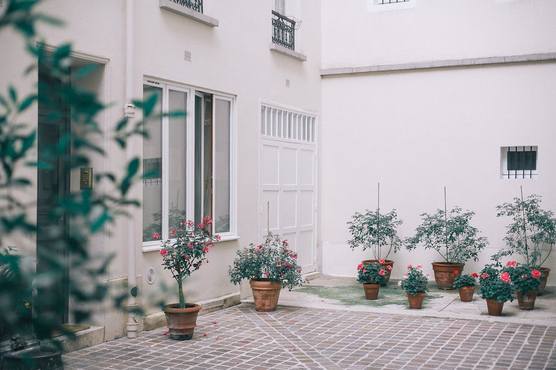 House decorated with potted flowers and plants