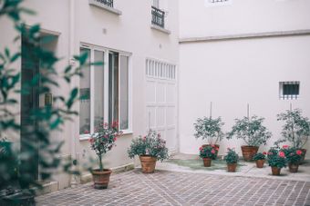Blooming stone courtyard, photo by Maria Orlova on Pexels