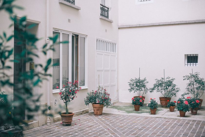 Cream courtyard wall of a house lined with potted flowering shrubs — photo by Maria Orlova on Pexels