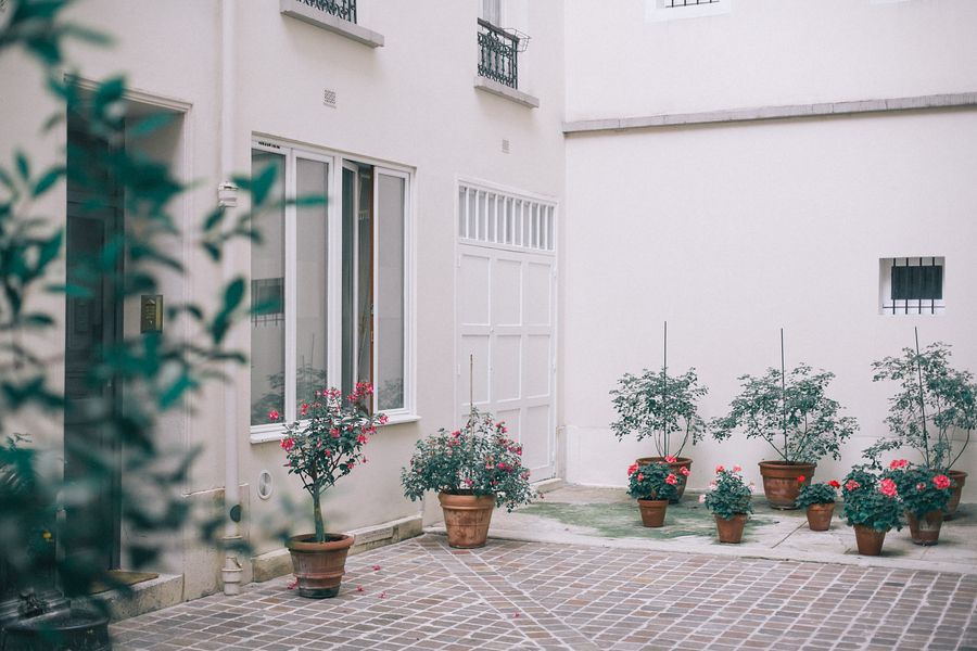 A paved courtyard with potted olive trees against white walls