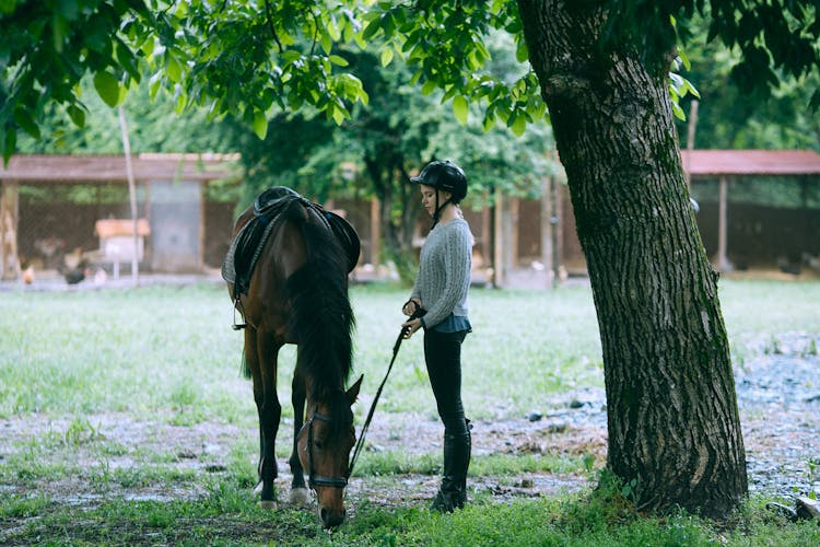 Female Jockey In Helmet Petting Horse Eating Fresh Grass