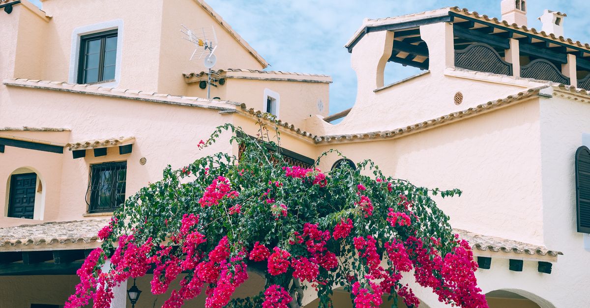 Exterior of spacious residential cottage with tiled roof decorated with overgrown pink flowers on partly cloudy summer day