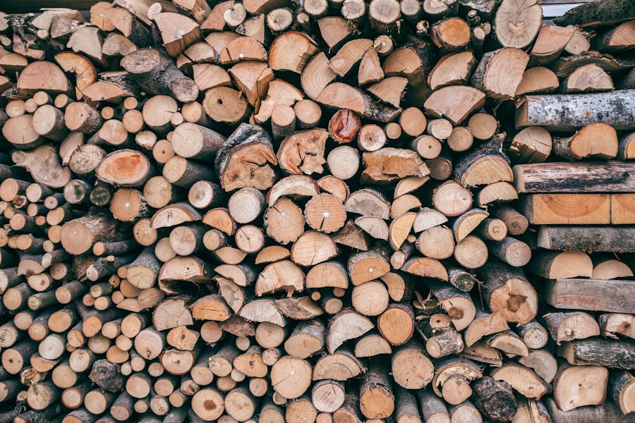 How long do you let wood dry before splitting?