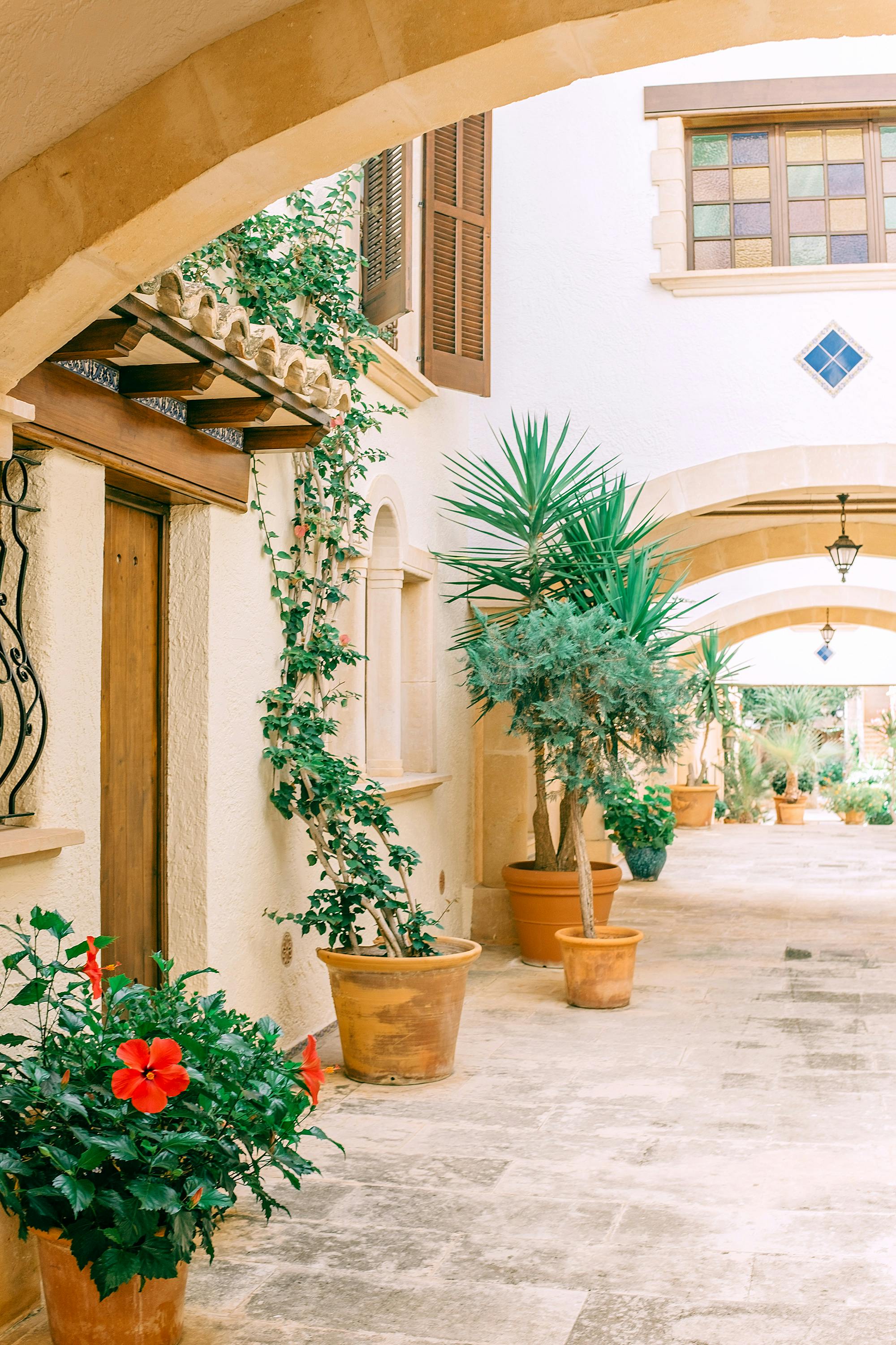 View through arched passage of entrance door and yard decorated with potted palms and flowers placed on pavement on sunny day