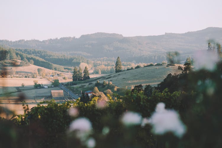 Sunbeam Above Green Hills With Rural House And Road