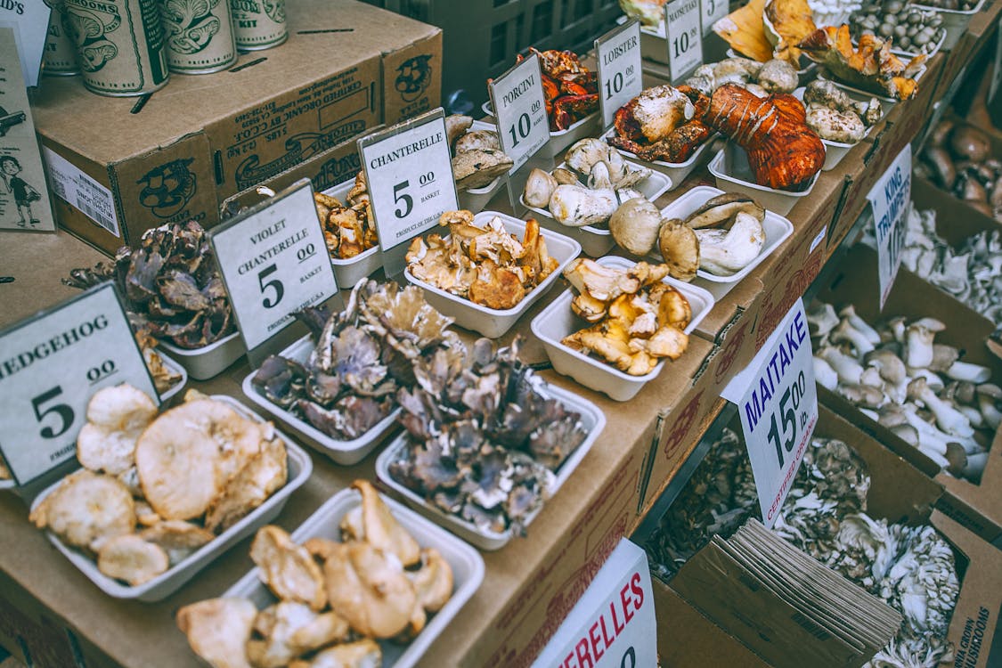 Free Assorted mushrooms on counter in market Stock Photo