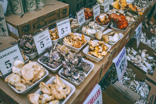 Assorted mushrooms at a local market