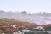 迷人的海岸景观、薄雾缭绕的天空和充满活力的田野，非常适合自然爱好者