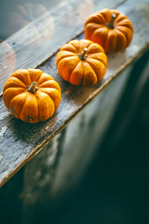 Orange pumpkins on wooden plank