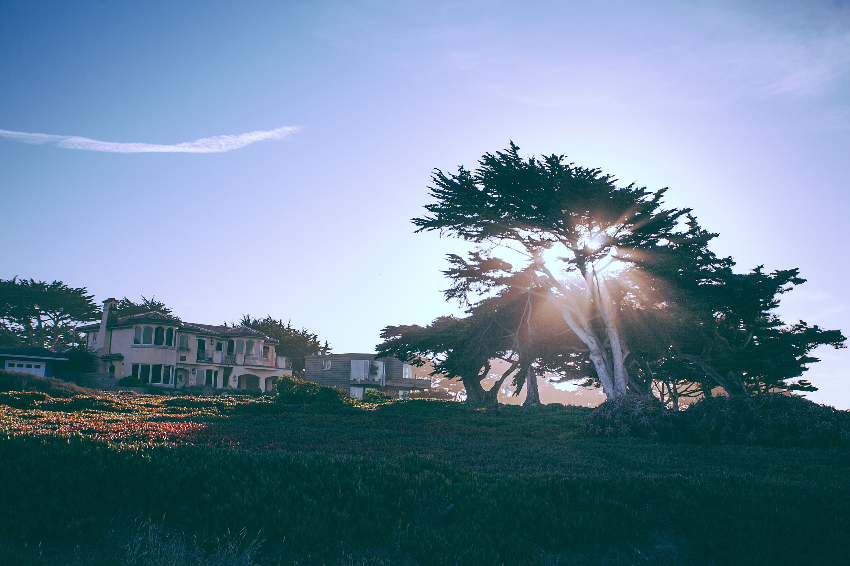 Soaring ‘McMansion’ insurance prices create opening for commercial group — Photo by Maria Orlova on Pexels