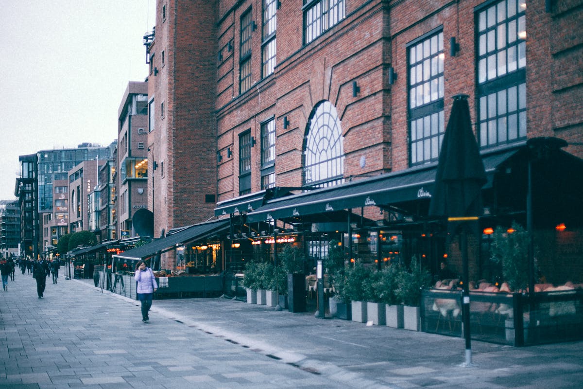 Healthy salad bowl with vegetables, grains, and protein