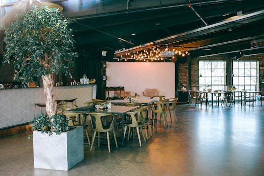 Cafeteria interior with tables and armchairs against counter and green tree in pot in sunlight