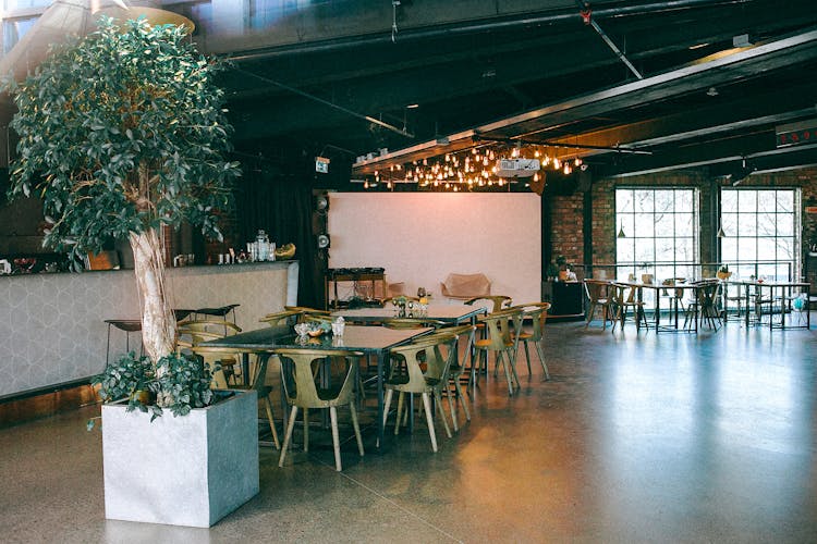 Restaurant Interior With Furniture And Potted Tree