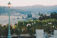 Terrace against mountain and blooming bushes in summer