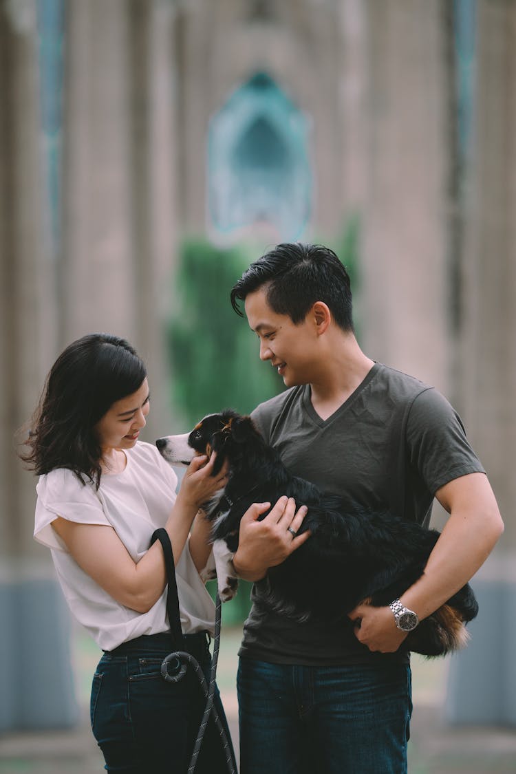 Smiling Asian Couple Caressing Purebred Dog On City Street