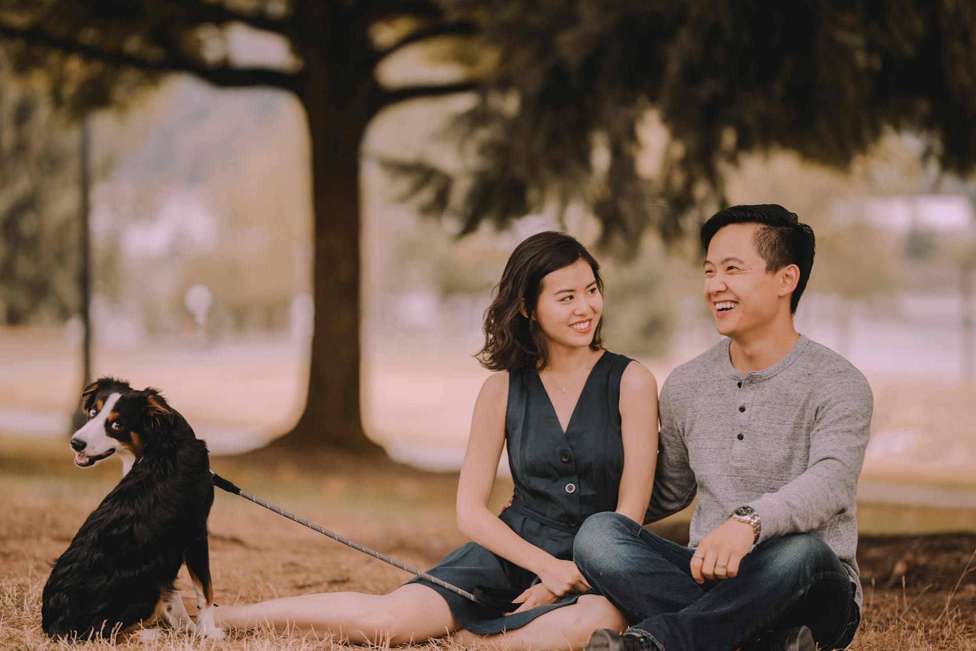 Un couple ethnique heureux avec un chien de montagne bernois en laisse assis sur l'herbe tout en passant du temps ensemble le week-end