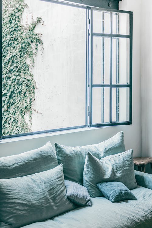 Free Comfortable blue couch with cushions placed near big opened window against white street wall with climbing plant in cozy white room Stock Photo