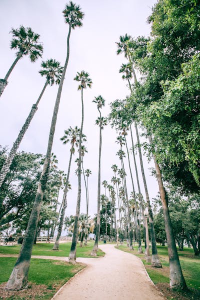 Samsung Kulkas 2 Pintu