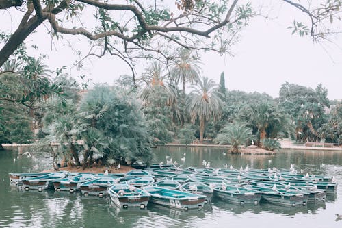 Boats on calm lake in tropical terrain