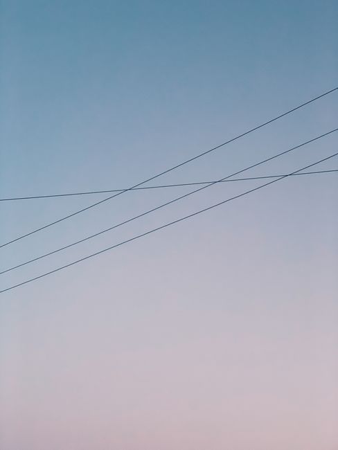 From below of thin electricity wires against blue and soft pink sky at sunset