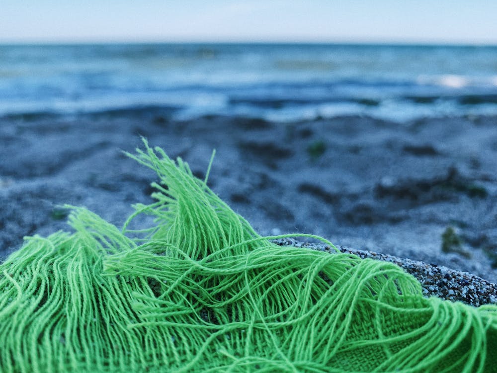 Green plaid fabric on sand near sea