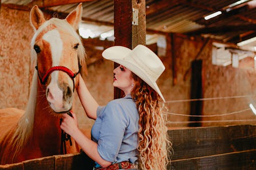 Free Young cowgirl stroking chestnut horse in paddock Stock Photo