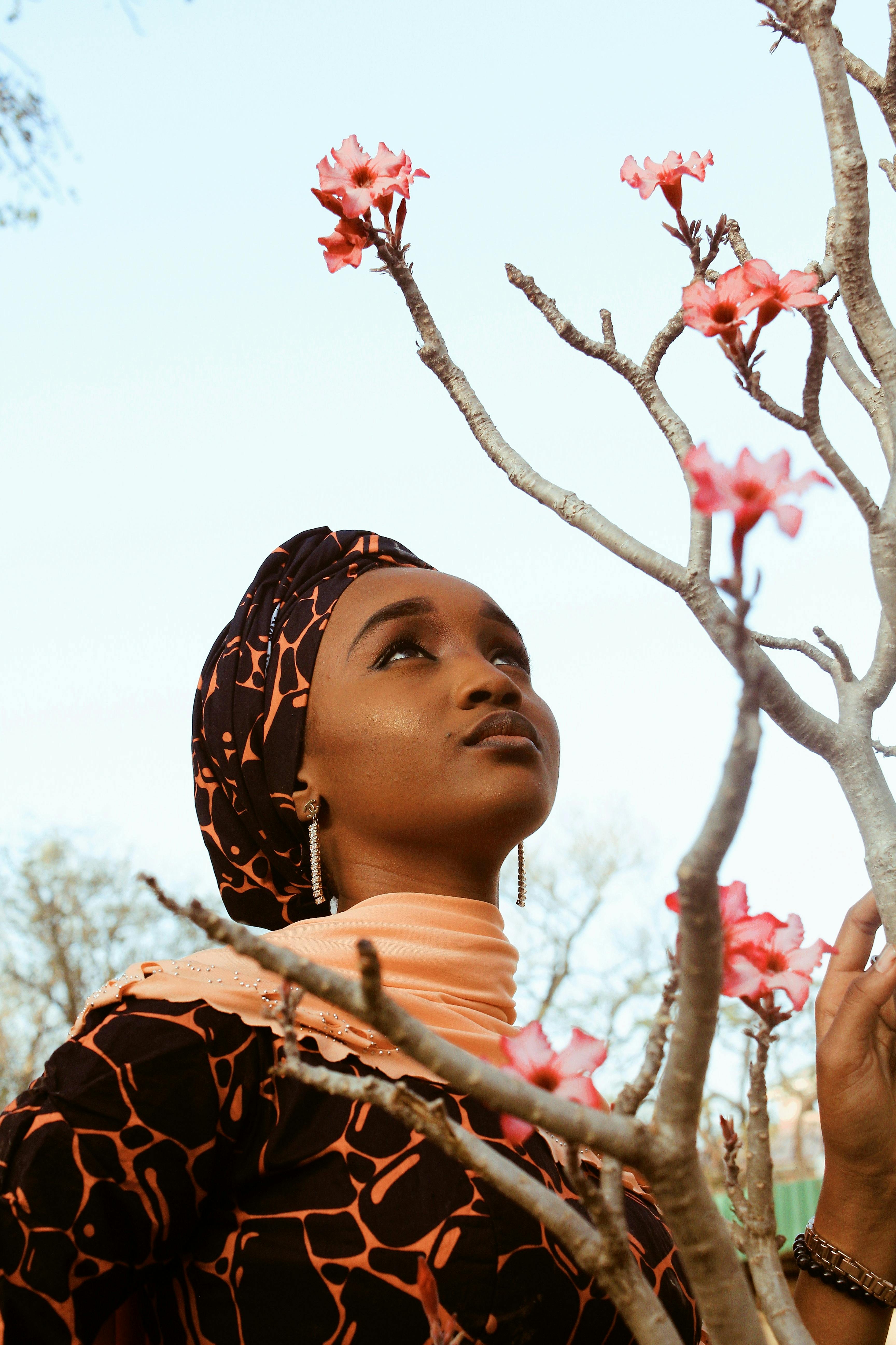 From below of young black female in headscarf looking at pink delicate flower on top of leafless branch under light blue cloudless sky