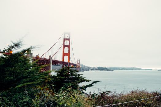 Muir Woods redwood day — San Francisco