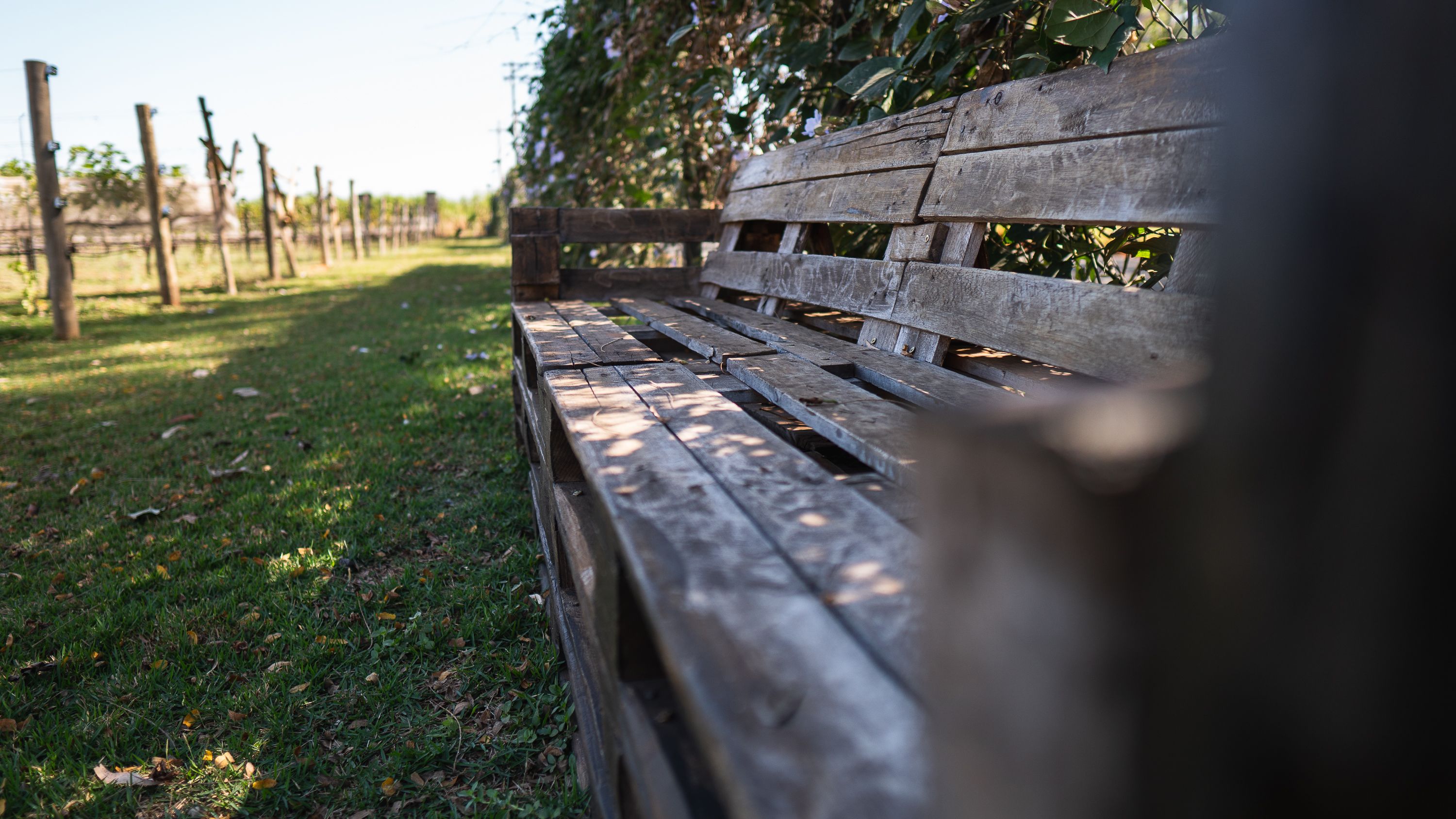 A Brown Wooden Bench on the Green Grass Field · Free Stock Photo