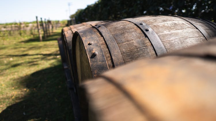 Brown Wooden Barrels Near The Vineyard